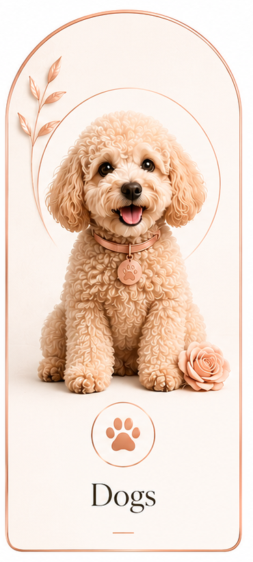 Dogs