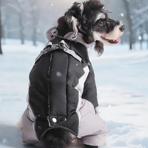 Autumn and winter new dog clothes, four-legged cotton jacket, outdoor reflective leash, thick coat for keeping dogs warm
