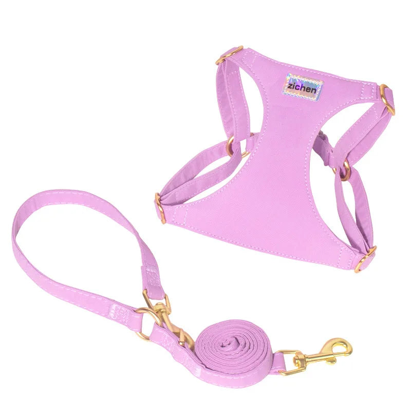 No Pull Dog Harness-Lightweight, Soft Adjustable Small Harness and Multifunction Leash Set for Puppy Small and Medium-Sized Dog