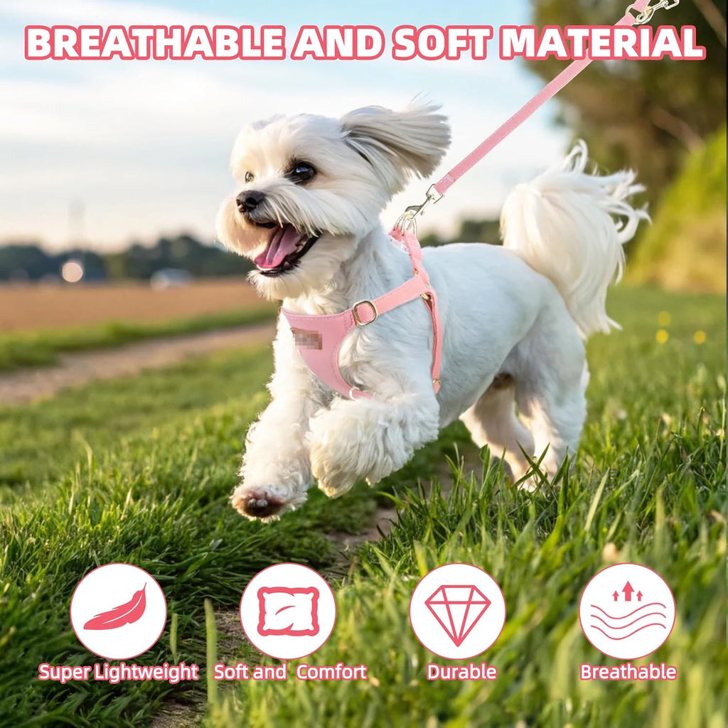 No Pull Dog Harness-Lightweight, Soft Adjustable Small Harness and Multifunction Leash Set for Puppy Small and Medium-Sized Dog