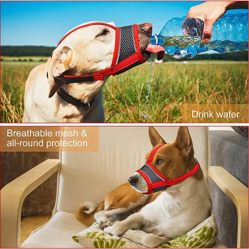 Soft Dog Muzzle for Small Medium Dogs Dachshund Corgi Poodle Adjustable Reflective Muzzles for Biting Chewing Breathable Mesh