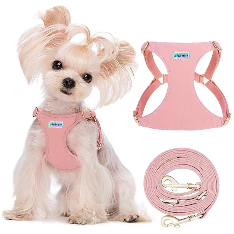 No Pull Dog Harness-Lightweight, Soft Adjustable Small Harness and Multifunction Leash Set for Puppy Small and Medium-Sized Dog