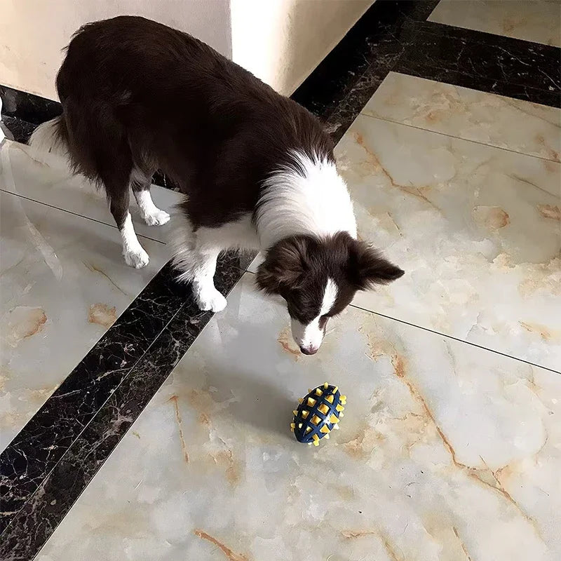 Dog rubber rugby, soft spines, teeth grinding, bite resistance, squeezing, vocalization accompanying large and medium-sized dogs
