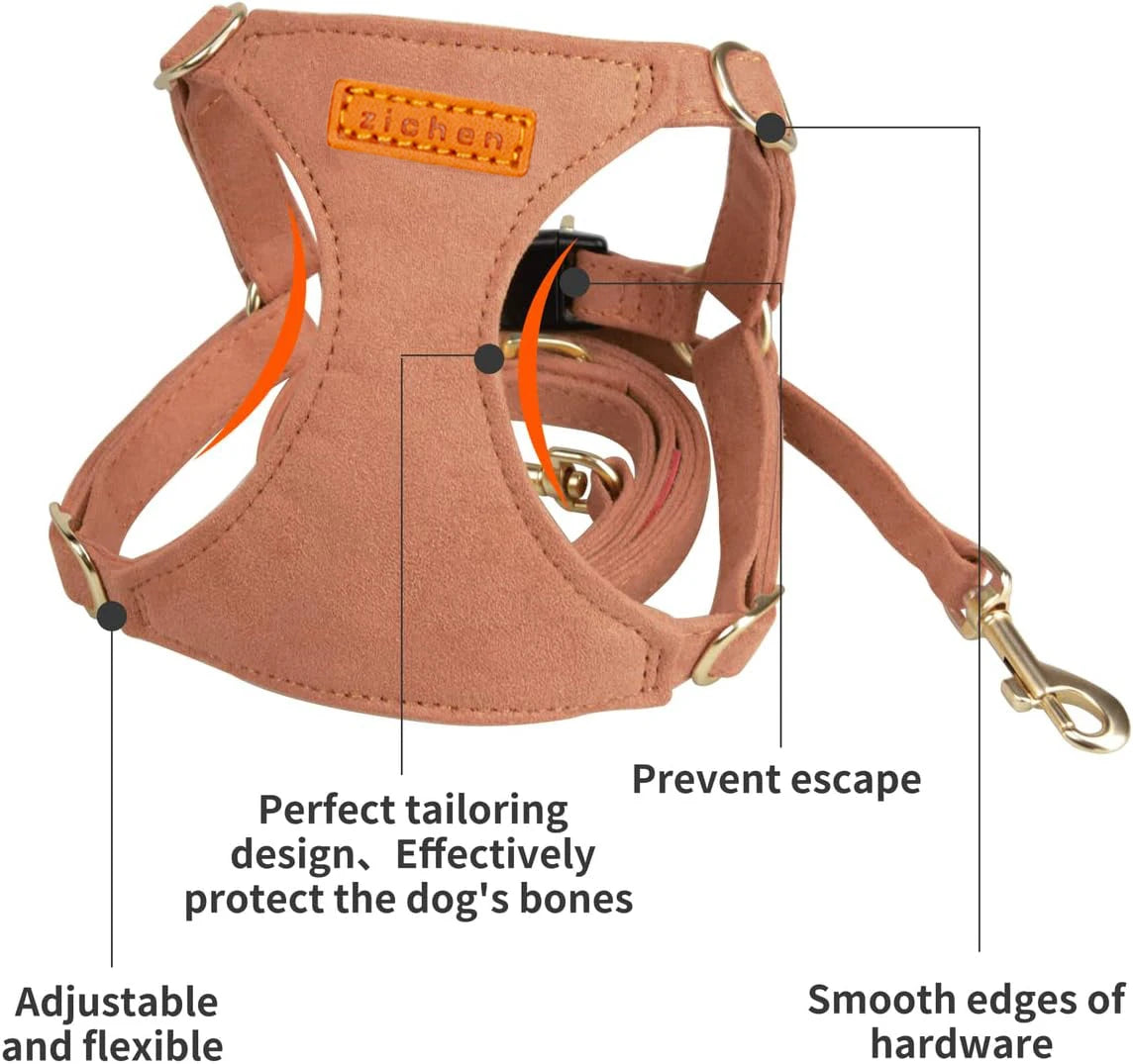 No Pull Dog Harness-Lightweight, Soft Adjustable Small Harness and Multifunction Leash Set for Puppy Small and Medium-Sized Dog