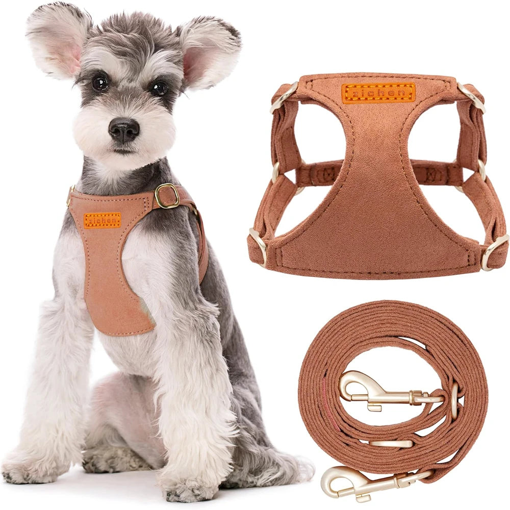 No Pull Dog Harness-Lightweight, Soft Adjustable Small Harness and Multifunction Leash Set for Puppy Small and Medium-Sized Dog